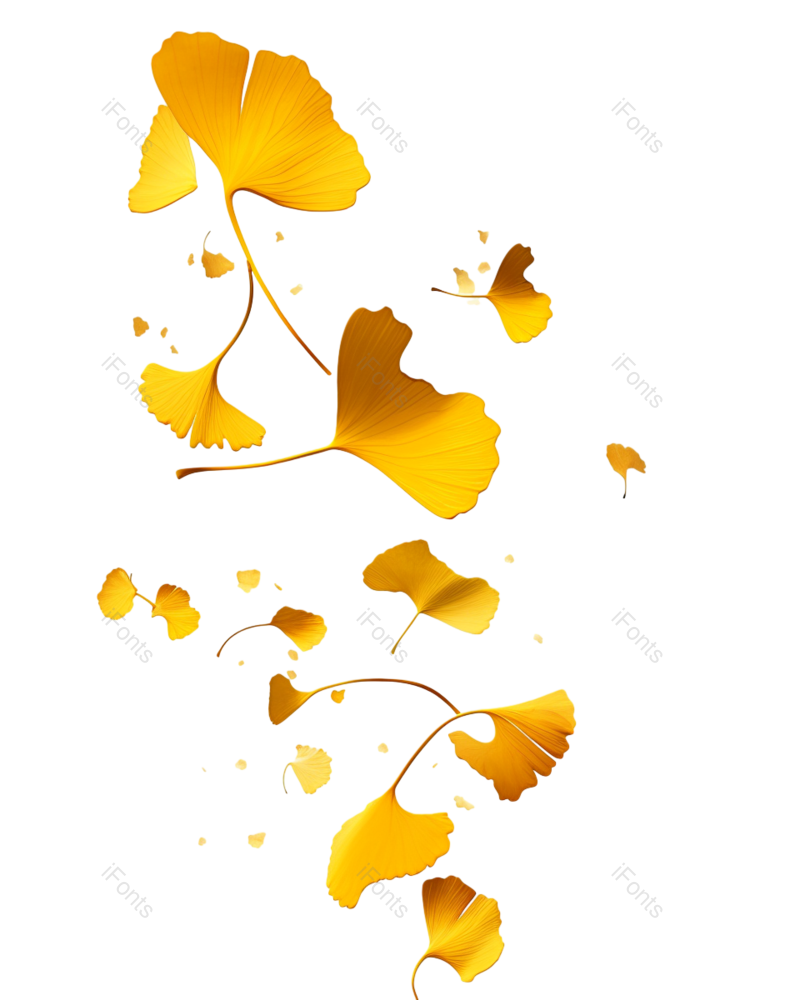 装饰图片,树叶元素,漂浮元素PNG,植物免抠素材